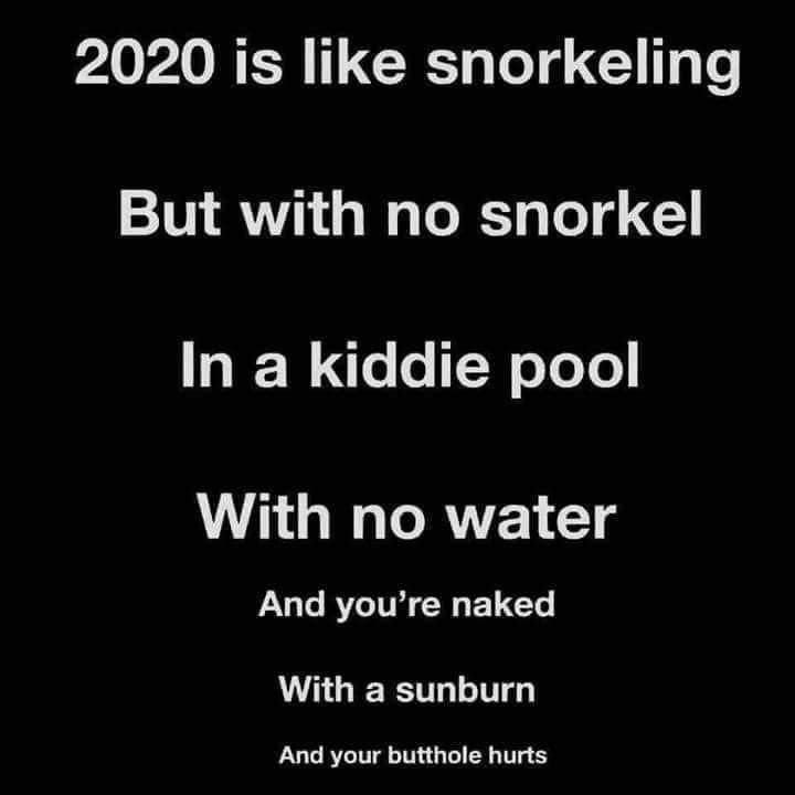 Snorkeling - 2020 is snorkeling But with no snorkel In a kiddie pool With no water And you're naked With a sunburn And your butthole hurts