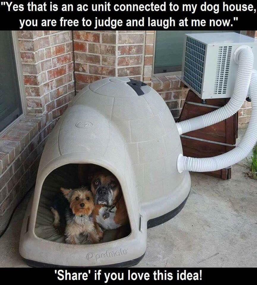 cat - "Yes that is an ac unit connected to my dog house, you are free to judge and laugh at me now." opelmato '' if you love this idea!