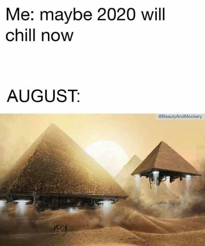 history channel meme - Me maybe 2020 will chill now August