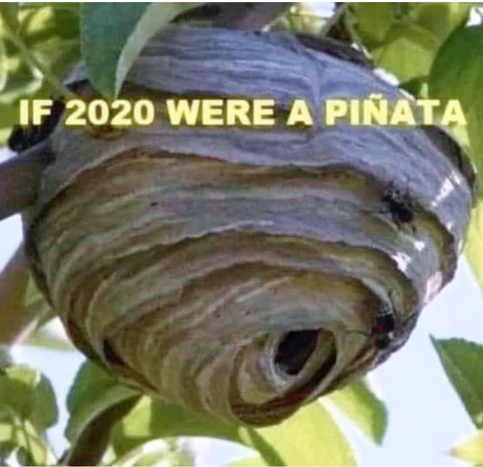if 2020 was a pinata - If 2020 Were A Piata