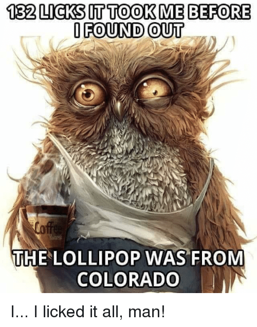 tired owl meme - 132 Licks It Took Me Before I Found Out Coffee Yaris The Lollipop Was From Colorado I... I licked it all, man!