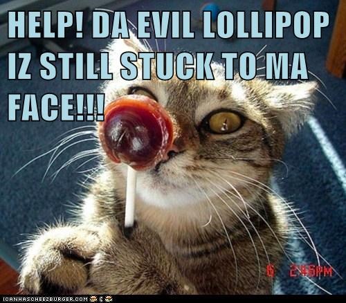 funny cat - Help! Da Evil Lollipop Iz Still Stuck To Ma Face!!! 2 Ms Iganhascheezburger.Com