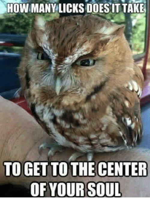 owl meme - How Many Licks Does It Take To Get To The Center Of Your Soul