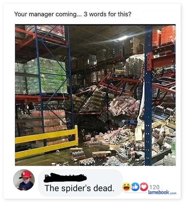 your manager coming 3 words only - Your manager coming... 3 words for this? The spider's dead. 120 lamebook.com