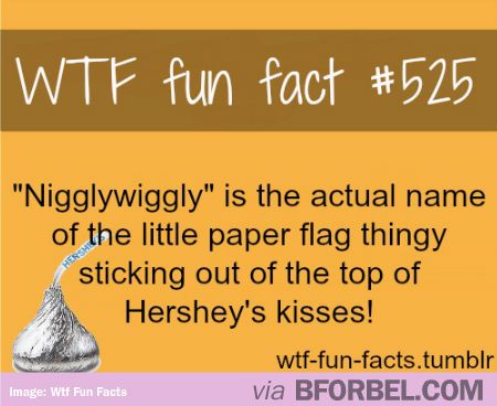 stadium australia - Wtf fun fact "Nigglywiggly" is the actual name of the little paper flag thingy sticking out of the top of Hershey's kisses! wtffunfacts.tumblr via Bforbel.Com Image Wtf Fun Facts