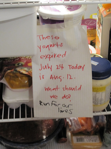 office refrigerator meme - yogurts expired July 24 Today is Ang. 12. What should we do? Run For or lives