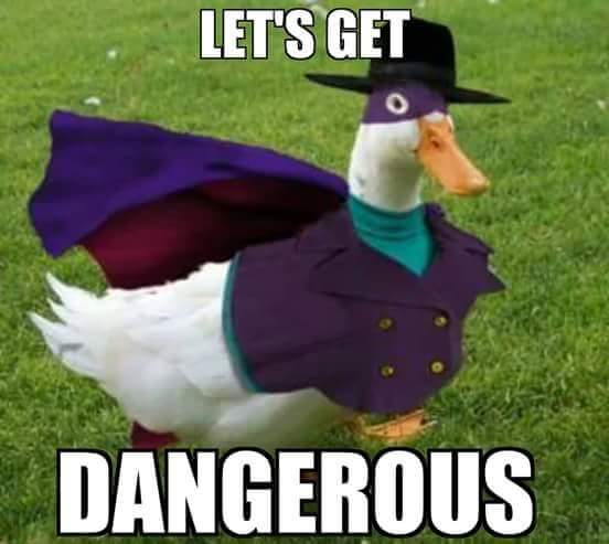 funny duck memes - Let'S Get Dangerous