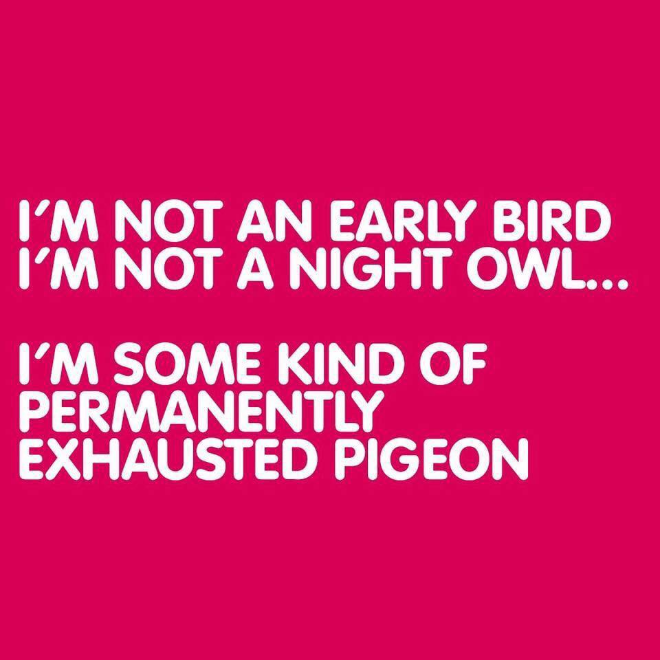 point - I'M Not An Early Bird I'M Not A Night Owl... I'M Some Kind Of Permanently Exhausted Pigeon