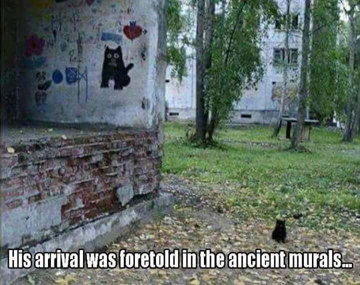 his arrival was foretold in the ancient murals - His arrival was foretold in the ancient murals...