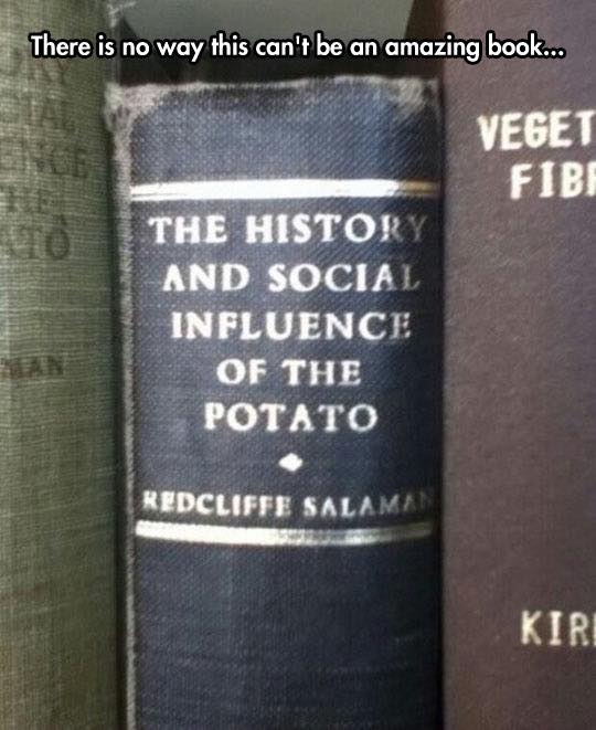 history of the potato - There is no way this can't be an amazing book... Veget Fibe The History And Social Influence Of The Potato An Redcliffe Salaman Kiri