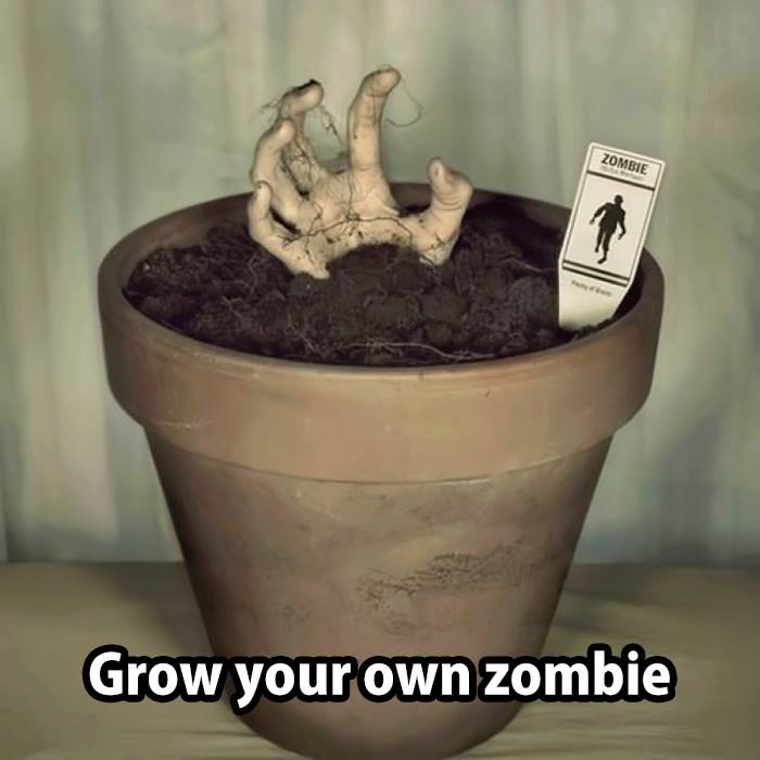 Grow your own zombie