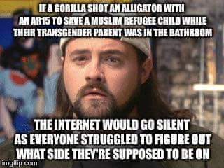 daily meme - If A Gorilla Shot An Alligator Wmi An AR15 To Save A Muslim Refugee Child While Their Transgender Parent Was In The Bathroom The Internet Would Go Silent As Everyone Struggled To Figure Out What Side They'Re Supposed To Be On imgflip.com