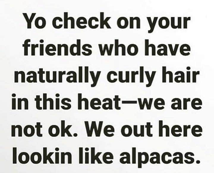 handwriting - Yo check on your friends who have naturally curly hair in this heatwe are not ok. We out here lookin alpacas.