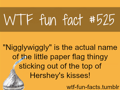 stadium australia - Wtf fun fact "Nigglywiggly" is the actual name of the little paper flag thingy sticking out of the top of Hershey's kisses! Hershes wtffunfacts.tumblr