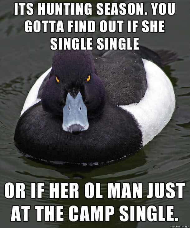 meme - Its Hunting Season. You Gotta Find Out If She Single Single Or If Her Ol Man Just At The Camp Single. made on Imgur