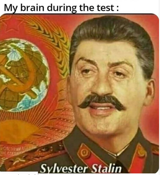 sylvester stalin - My brain during the test Sylvester Stalin