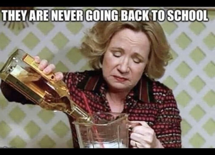 mom quarantine meme - They Are Never Going Back To School