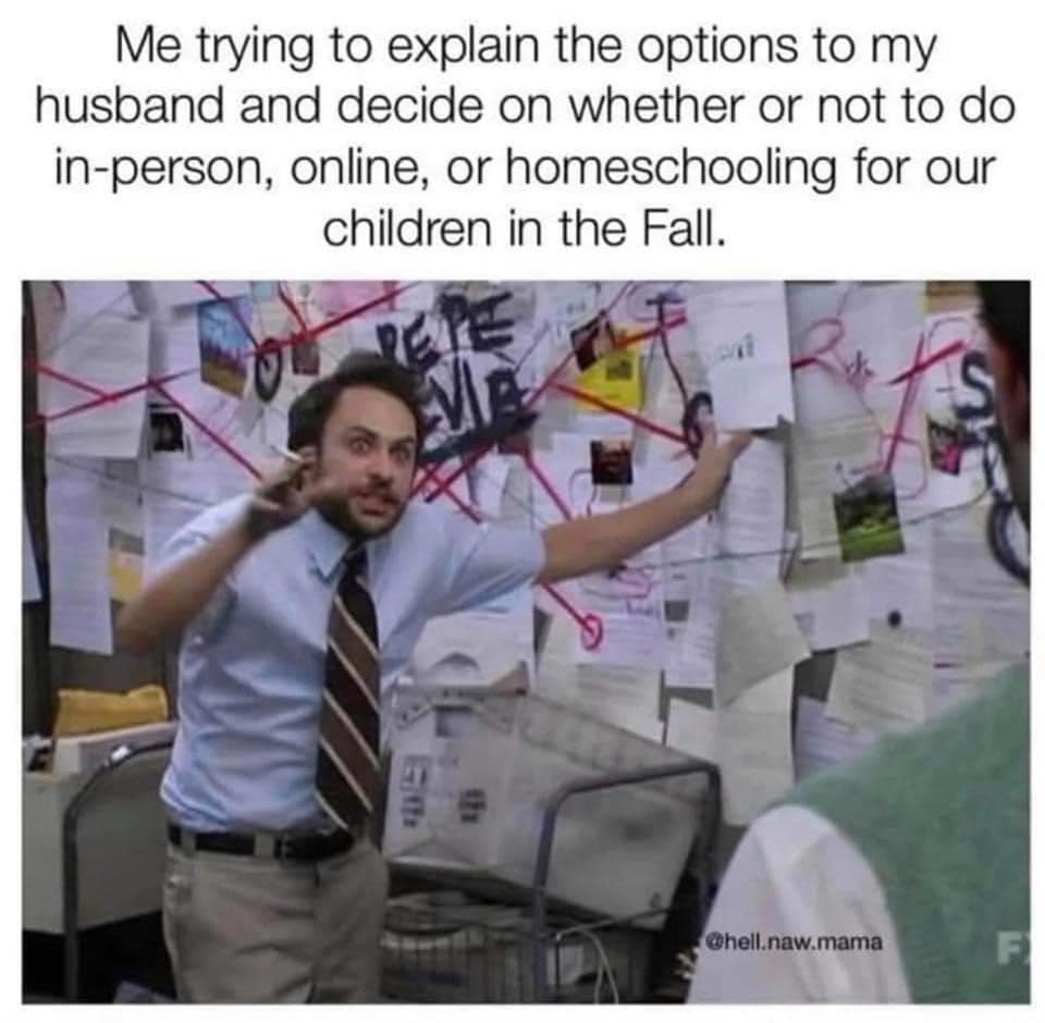 unsolved mysteries netflix meme - Me trying to explain the options to my husband and decide on whether or not to do inperson, online, or homeschooling for our children in the Fall. Ohell.naw.mama F