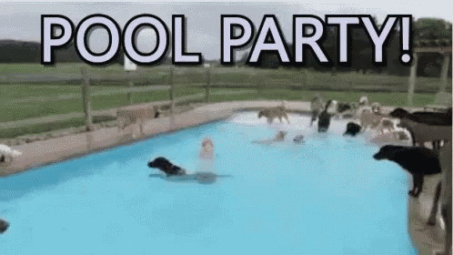 swim party gif - Pool Party!