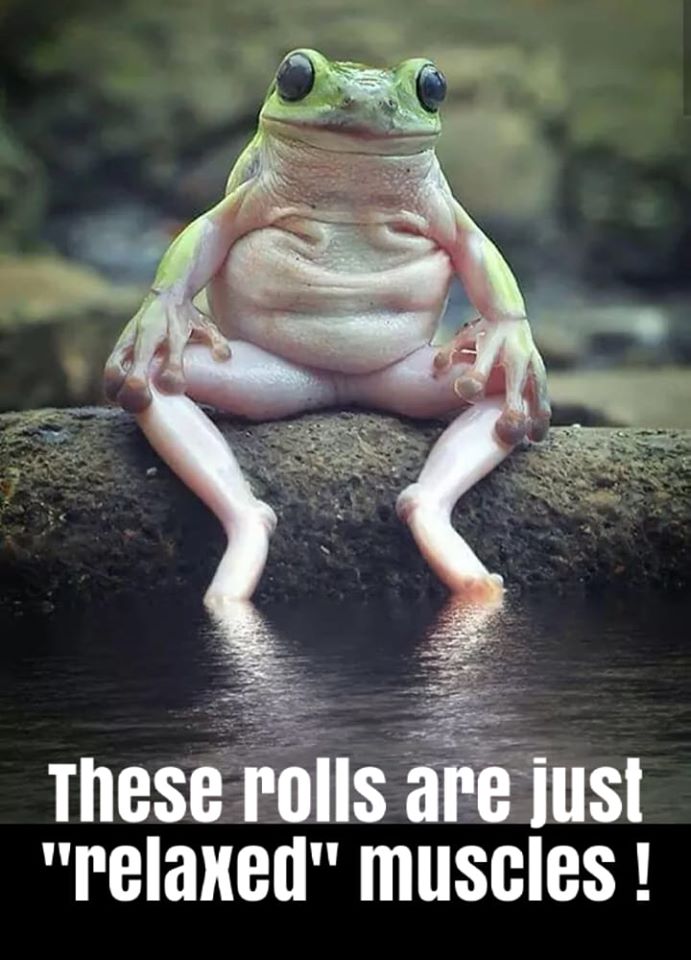 good frog - These rolls are just "relaxed" muscles !
