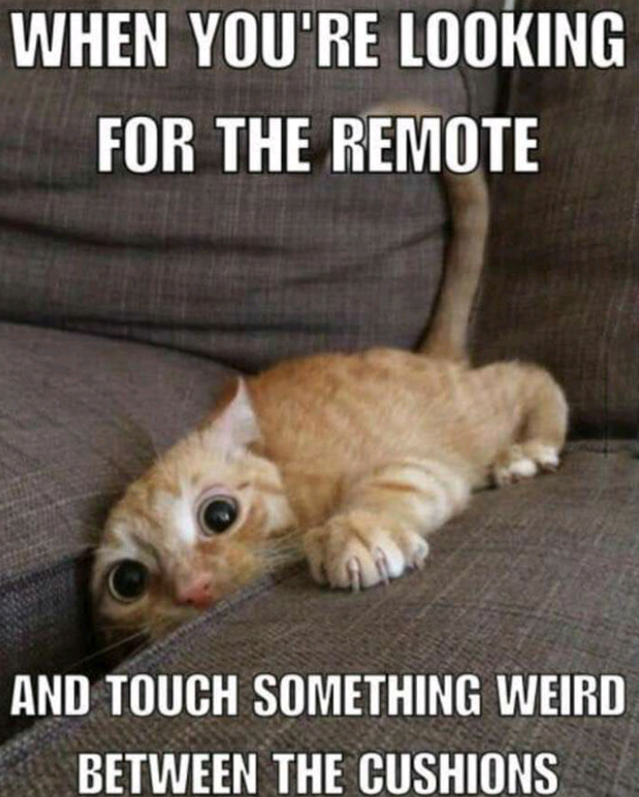 you re looking for the remote - When You'Re Looking For The Remote And Touch Something Weird Between The Cushions