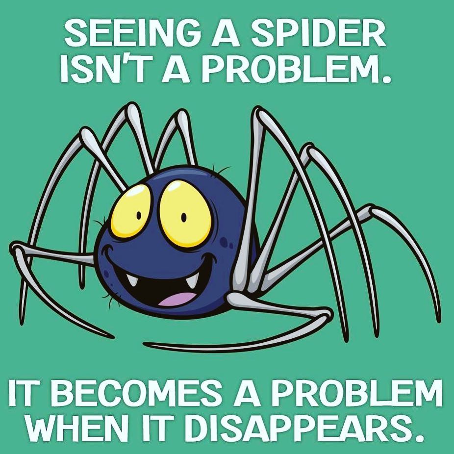 invertebrate - Seeing A Spider Isn'T A Problem. It Becomes A Problem When It Disappears.