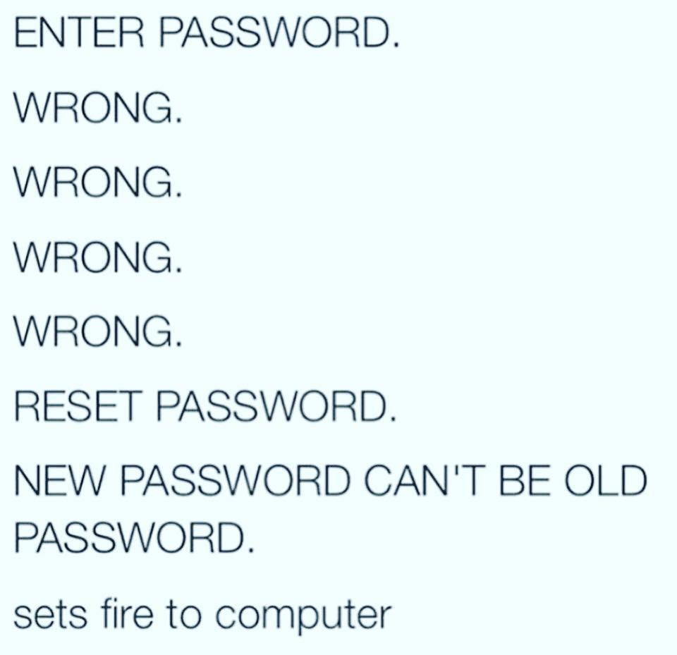 document - Enter Password. Wrong. Wrong. Wrong. Wrong. Reset Password. New Password Can'T Be Old Password. sets fire to computer
