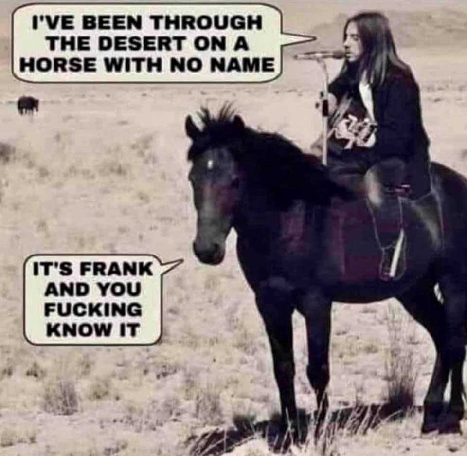 horse with no name meme - I'Ve Been Through The Desert On A Horse With No Name It'S Frank And You Fucking Know It