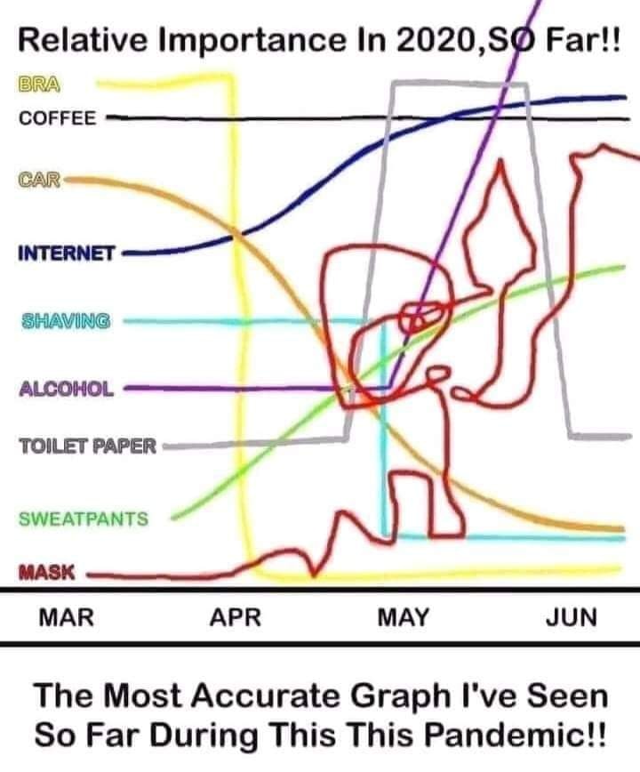 Toilet paper - Relative Importance in 2020, S Far!! Bra Coffee Car Internet Shaving os Alcohol Toilet Paper Sweatpants Mask Mar Apr May Jun The Most Accurate Graph I've Seen So Far During This This Pandemic!!