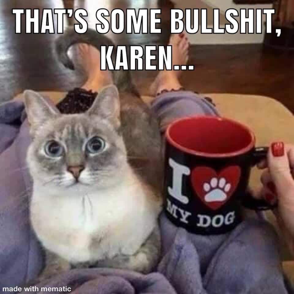 jealous animal meme - That'S Some Bullshit, Karen... I Vy Dog made with mematic