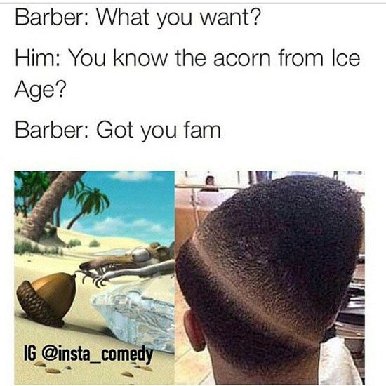 barber fam memes - Barber What you want? Him You know the acorn from Ice Age? Barber Got you fam Ig