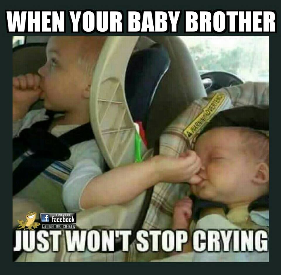photo caption - When Your Baby Brother A Paruinadvertes Find us on f facebook Laugh Or Croak Just Won'T Stop Crying