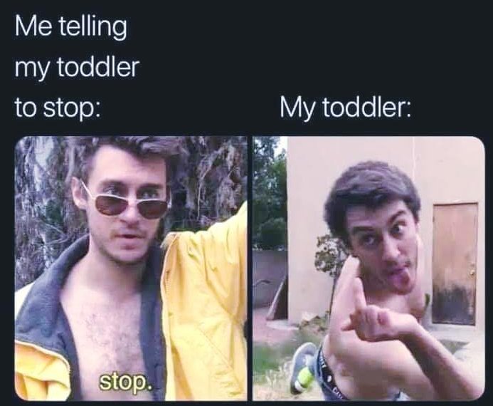 truth be told i miss you meme casey frey - Me telling my toddler to stop My toddler stop. Cas