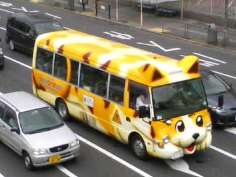 cat school bus - B