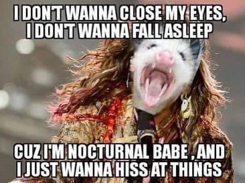 don t wanna close my eyes meme - I Dont Wanna Close My Eyes, I Dont Wanna Fall Asleep Cuz I'M Nocturnal Babe, And I Just Wanna Hiss At Things