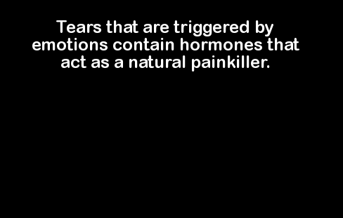light - Tears that are triggered by emotions contain hormones that act as a natural painkiller.