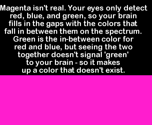 magenta on the color spectrum - Magenta isn't real. Your eyes only detect red, blue, and green, so your brain fills in the gaps with the colors that fall in between them on the spectrum. Green is the inbetween color for red and blue, but seeing the two to