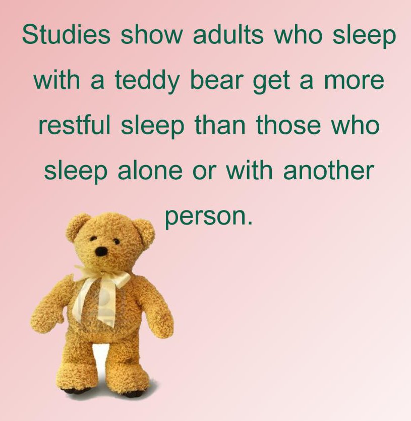 teddy bear - Studies show adults who sleep with a teddy bear get a more restful sleep than those who sleep alone or with another person