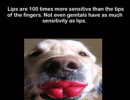 photo caption - Lips are 100 times more sensitive than the tips of the fingers. Not even genitals have as much sensitivity as lips.