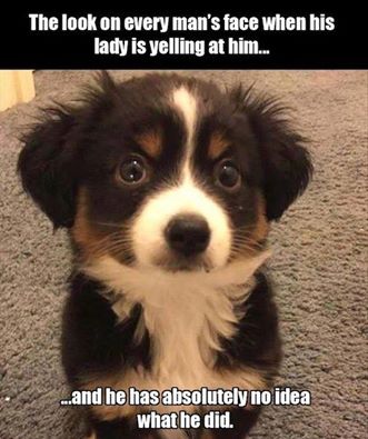 confused dog meme - The look on every man's face when his lady is yelling at him... ..and he has absolutely no idea what he did.
