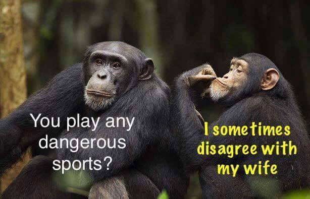 funny wife memes - You play any dangerous sports? I sometimes disagree with my wife