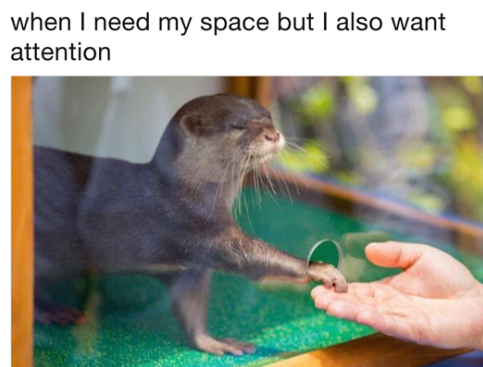 need my space but i also want attention - when I need my space but I also want attention