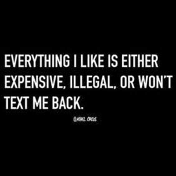 funny sayings funny quotes - Everything I Is Either Expensive, Illegal, Or Won'T Text Me Back. oses