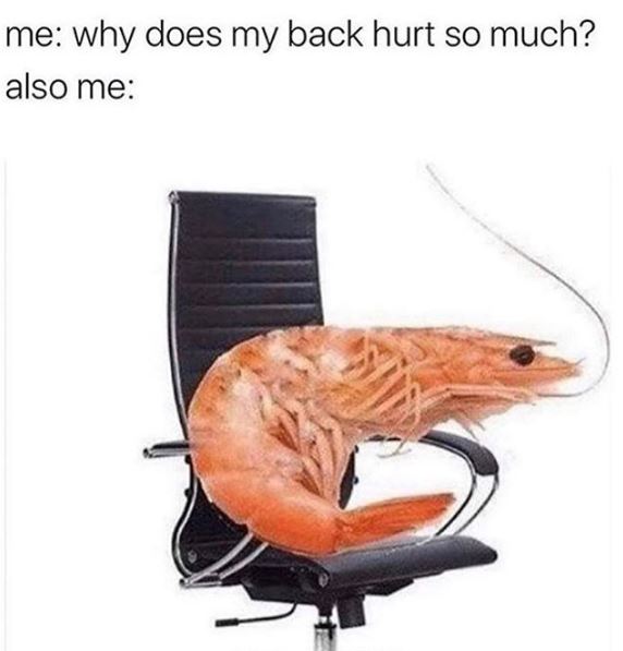 my back hurts meme also me - me why does my back hurt so much? also me