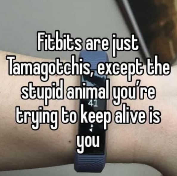 close up - Fitbits are just Tamagotchis, except the stupid animal you're trying to keep alive is you