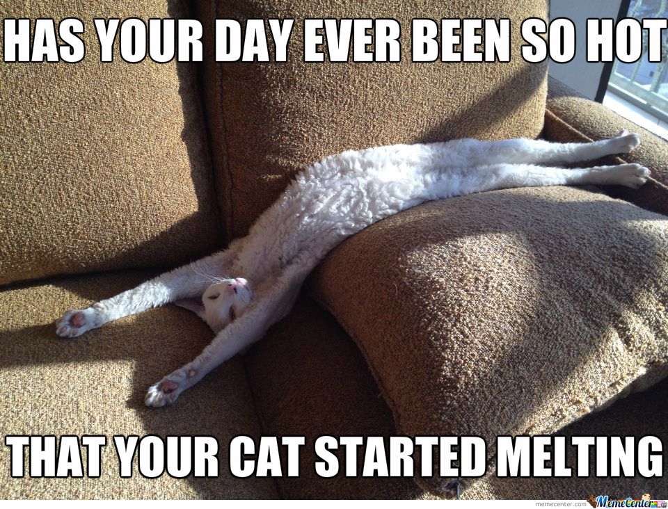 Summer got us like...