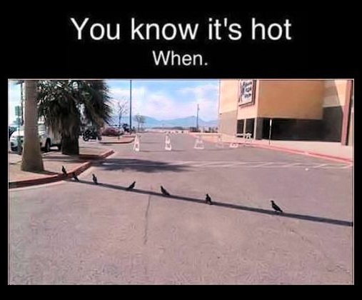 Summer got us like...