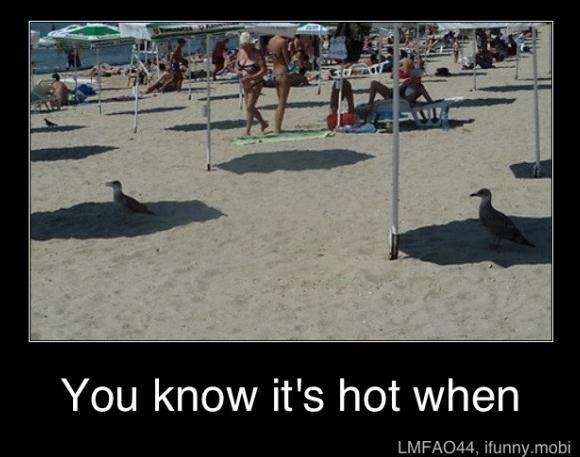 Summer got us like...