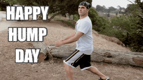 hump day gif - Happy Hump Day