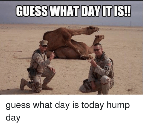 hump day funny - Guess What Day It Is!! guess what day is today hump day